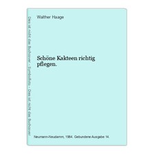 Schöne Kakteen richtig