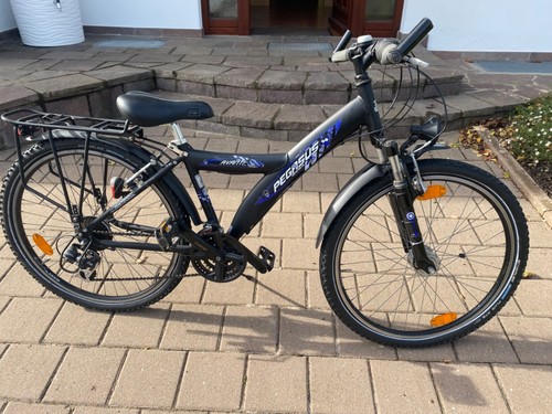 Pegasus kinderfahrrad - pegasus,