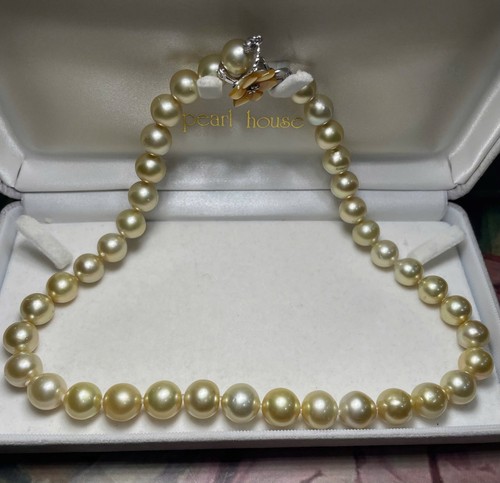 Südseeperlen kette gold - südseeperlen,