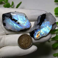 Aurora auf Eis ~ 2 Stück