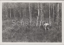 Foto Polizei-Sch. Regt. 31