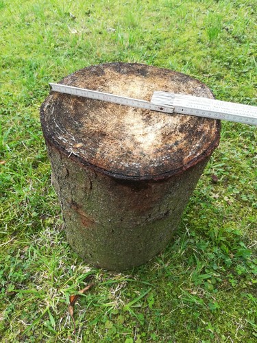 Hackstock 80 cm - 0,80, /