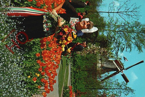 Ansichtskarte holland im - ansichtskarte,,