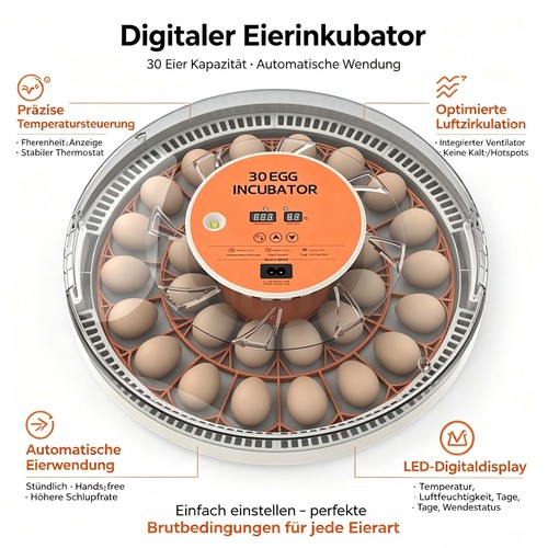 Eier vollautomatisch - eier,