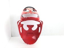 VERKLEIDUNG FRONTSCHILD - 2