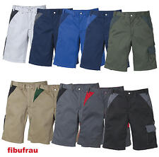 Fristads Kansas 100808 ICON