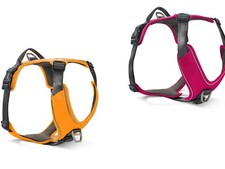 Wolters  Geschirr Active Pro