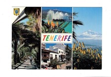 AK Ansichtskarte Teneriffa / Spanien