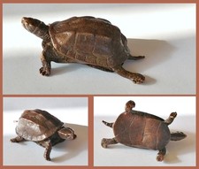 Bronze Figur Schildkröte