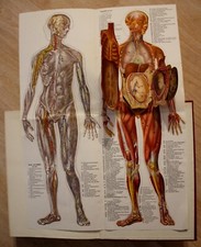 RAR Neuer Hausschatz der