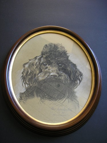 Poodle painting pudel - poodle,