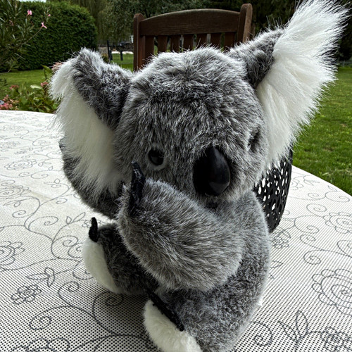 Koala stoff plüschtier in - &,