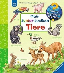 Wieso weshalb warum - wieso?, warum?