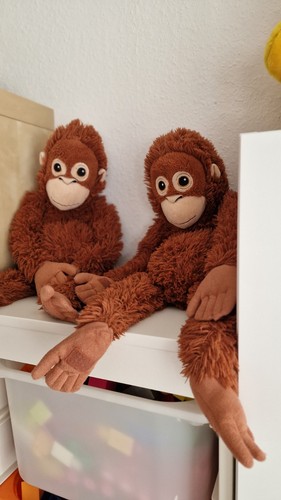 Affen zwillinge twins - affen,, zwillinge,