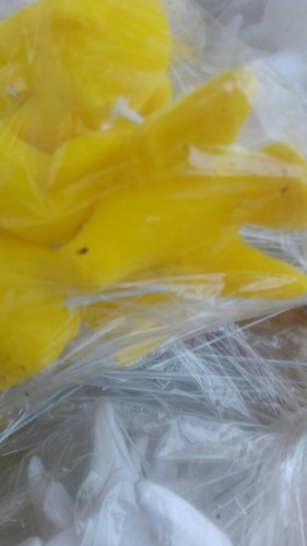 Vögel deko tauben gelb - vögel,