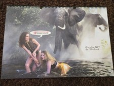 Pirelli Kalender 2009 By Peter