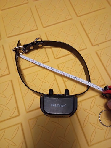 Petainer dog training collar - dog,