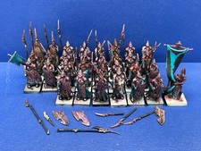 28+3 Speerträger der Dunkelelfen NONGW