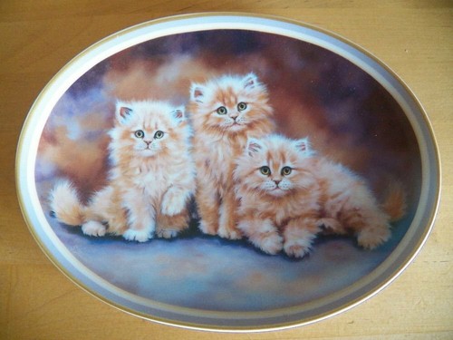 Katze sammelteller sammelbild - katze,