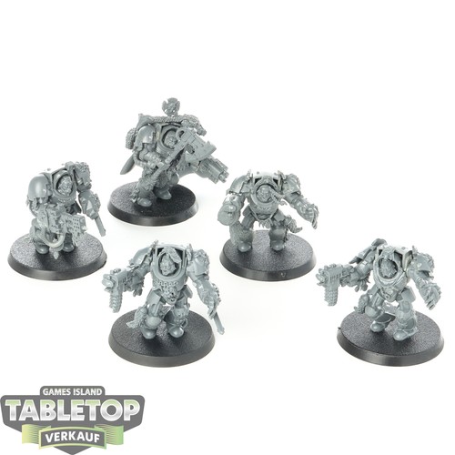 Space wolves 5x terminator - wolves,