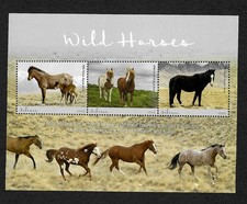 Liberia 2018: Wild horses