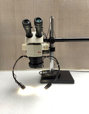Leica M80 Stereo Mikroskop