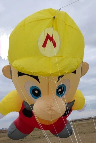 Drachen leinenschmuck mario - -,