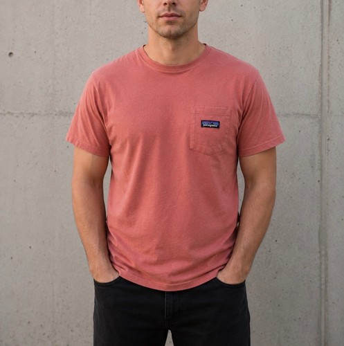 Patagonia tshirt - patagonia,