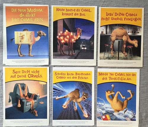 Camel werbebilder lustig funny - werbebilder,