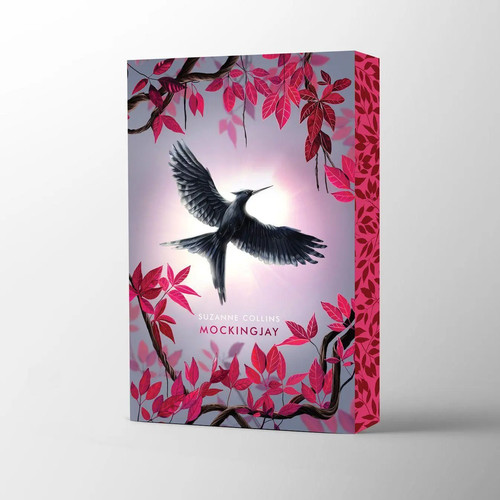 The hunger games mockingjay - hunger,