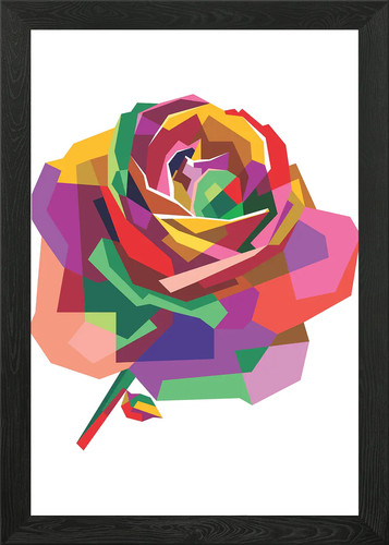 Bunte rose blume gerahmtes - blume,