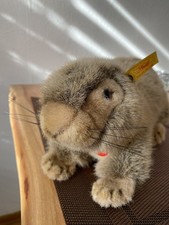 Steiff Murmeltier 071379 - TOP