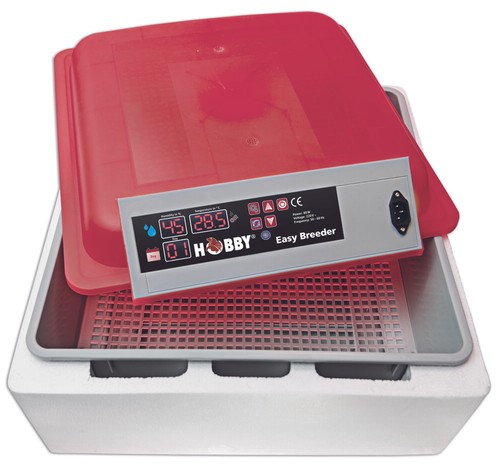 Hobby easy breeder inkubator - breeder,