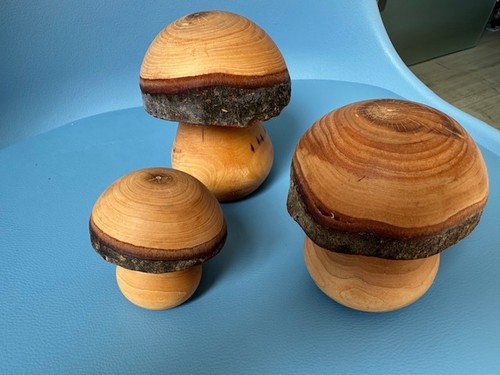 Stück holz pilze - holz-pilze, /