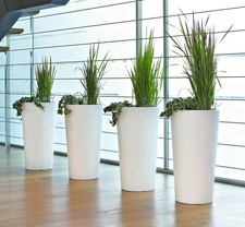 1 XXL Blumentopf mit