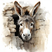 Wandbild Neugieriger Esel