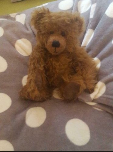 Teddy