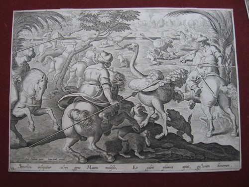 Philipps galle straußenjagd - philipps,