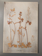 Fliesenbild mit echten gepressten Pflanzen "Geum Rivale" Wandbild Vintage Italy