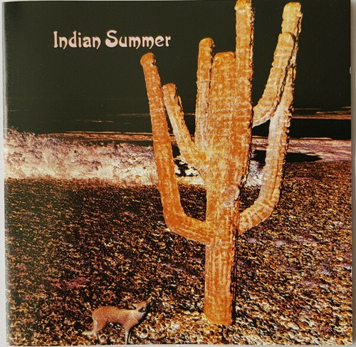 Indian summer - indian, summer: