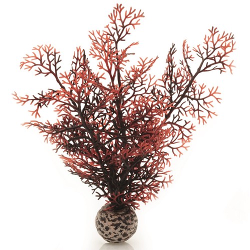Biorb aquarium dekoration - aquarium,