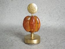 Objekt Juru Muziejus Akvariumas Messing & Bernstein 1 x Insekt Inkluse