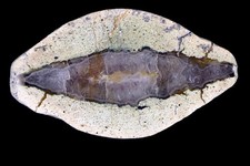 Achat von Rüsdorf im Erzgebirge