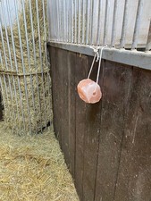 Salzleckstein Bergkristall 4