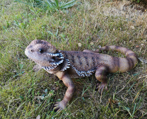 Gartenfigur dekofigur - gartenfigur,