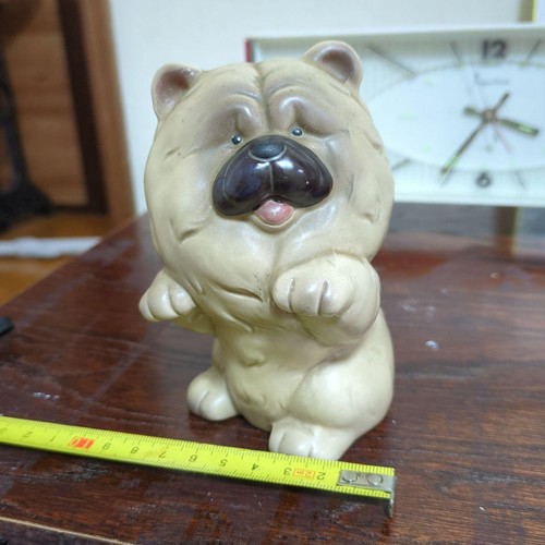 Chow hund - chow,