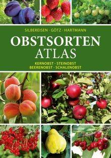 Obstsorten atlas kernobst - obstsorten, atlas: