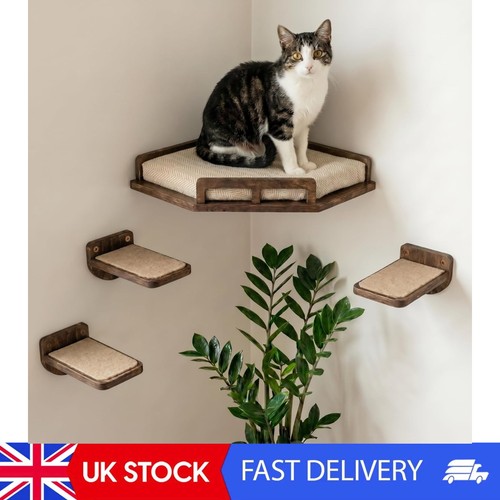 Katzen wandregale sichere - katzen,