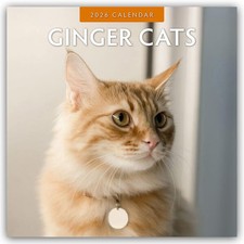 Ginger Cats - Rote Katzen -