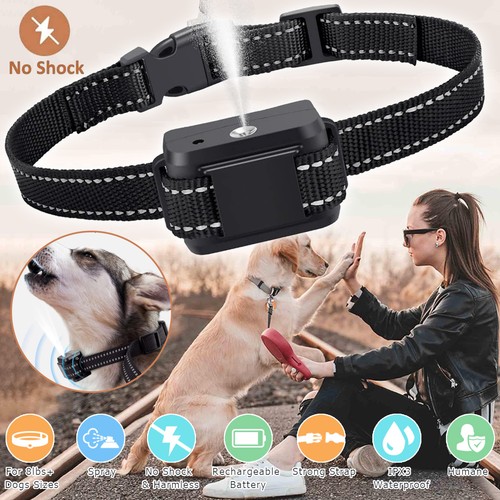 Anti bell halsband - anti,